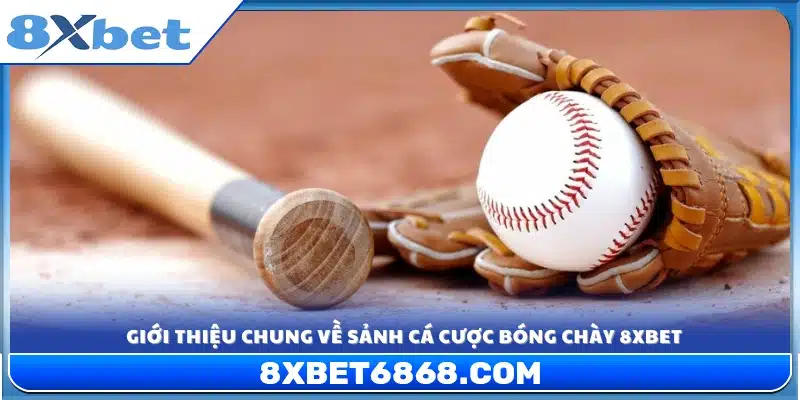 Khám phá sảnh cá cược bóng chày 8xbet