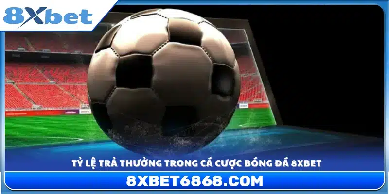 Tỷ lệ hoàn trả cao và minh bạch 