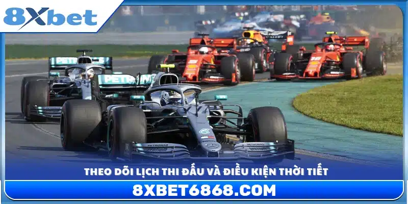 Cập nhật lịch trình các chặng đua và thông tin thời tiết 