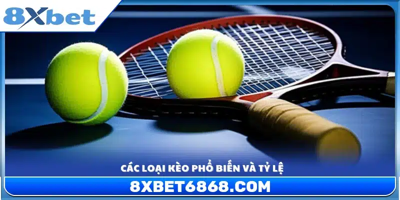 Tổng hợp các hình thức kèo phổ biến và mức kèo chi tiết