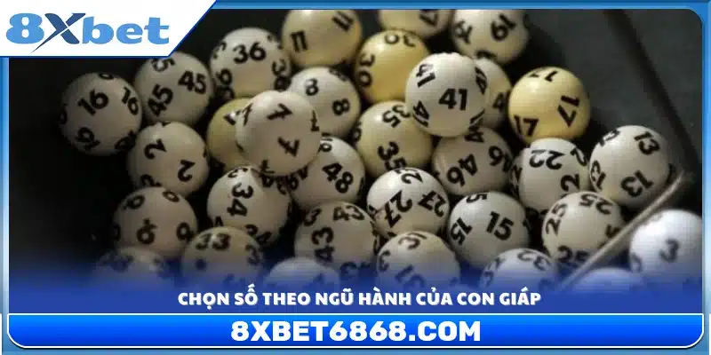Cách lựa chọn con số may mắn dựa trên ngũ hành 