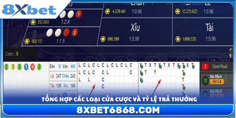 Phân tích các cửa cược chính và tỷ lệ ăn tiền tương ứng